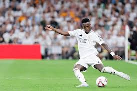 与主教练罗 与主教练罗